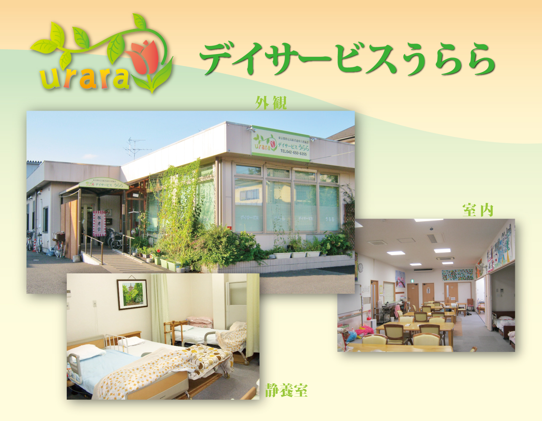 うらら_外観と内装